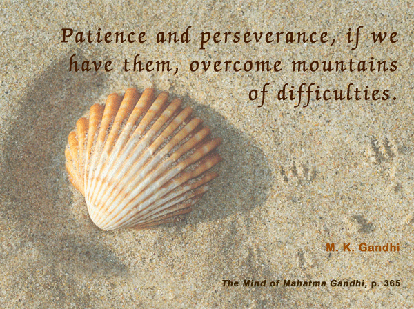 Patience Across Cultures: The Power of Observation and Planning