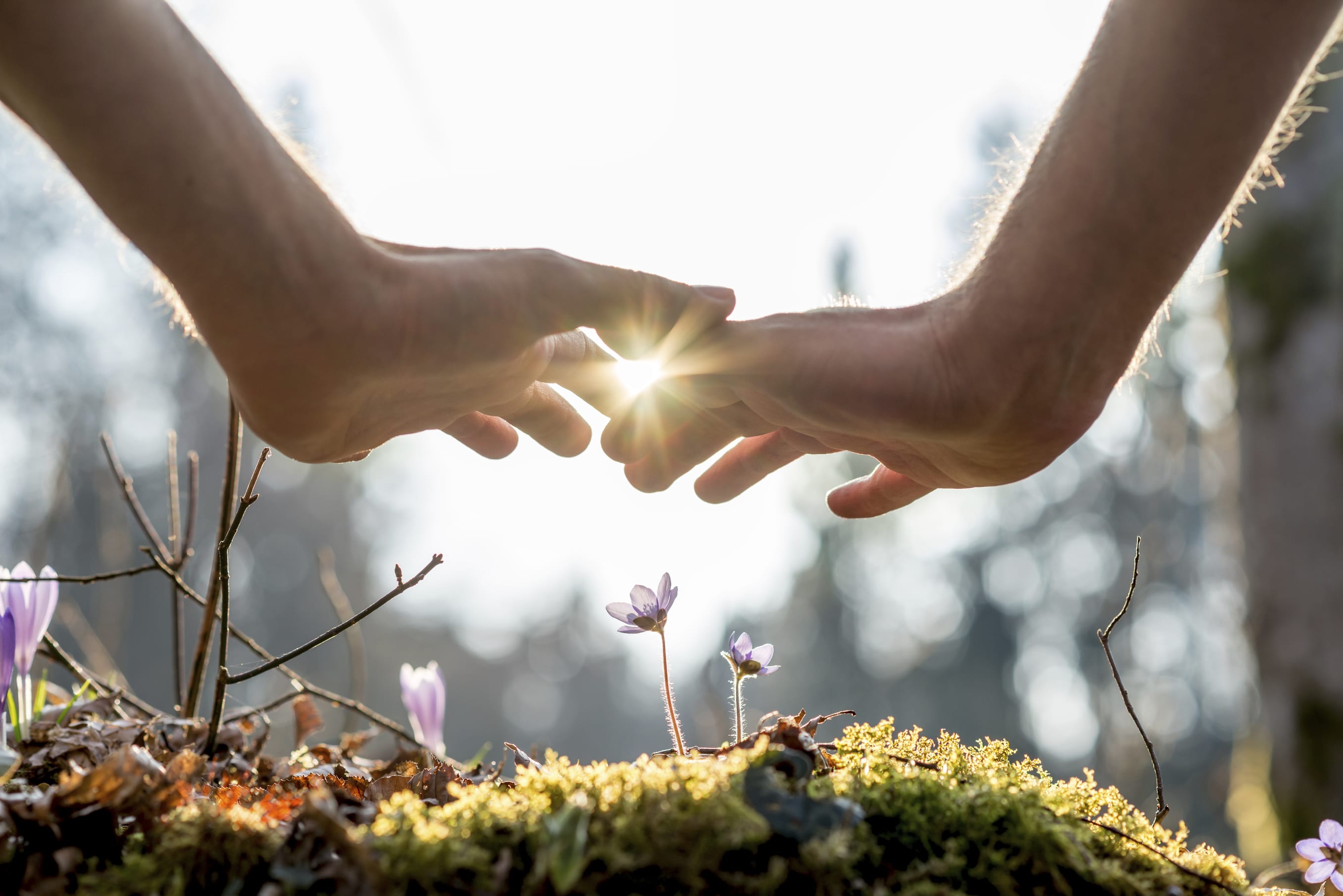 Finding Light in the Darkness: Tapping Our Strengths in Difficult Times