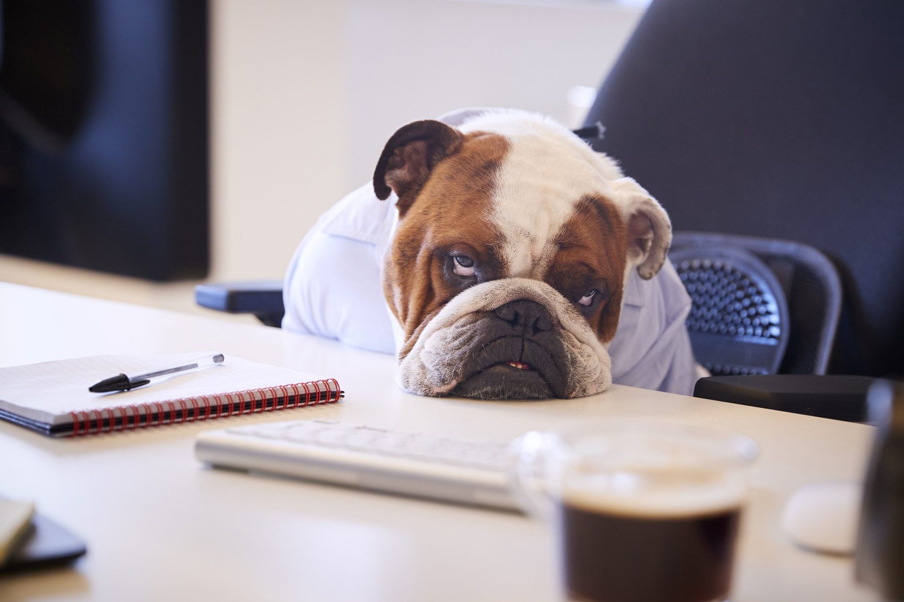 Meetings are Missed Opportunities!